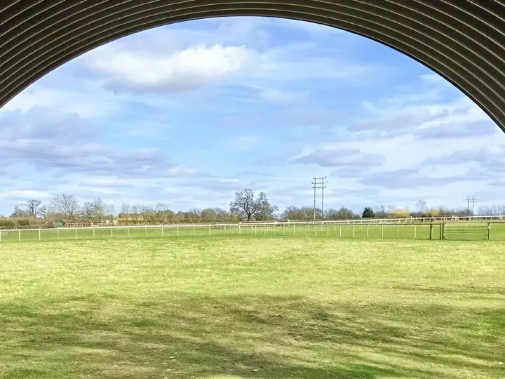 Alpaca Your Picnic 11