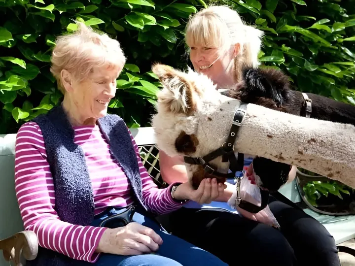 Residential Nursing Home Visit