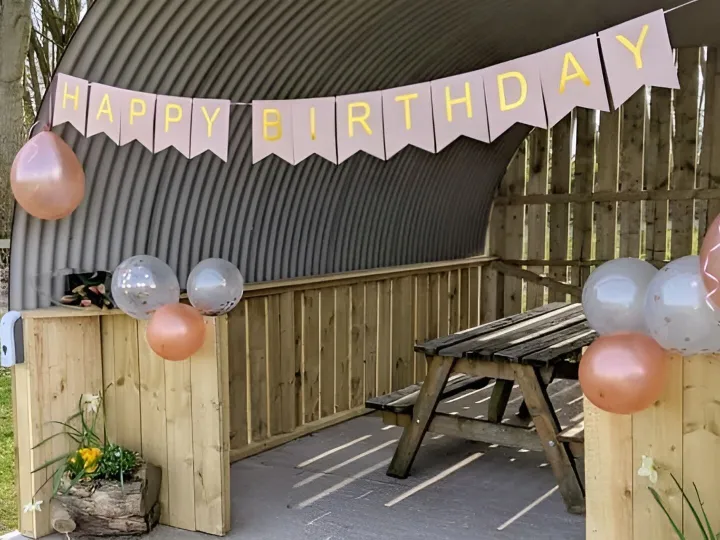 Alpaca Birthday Party 2