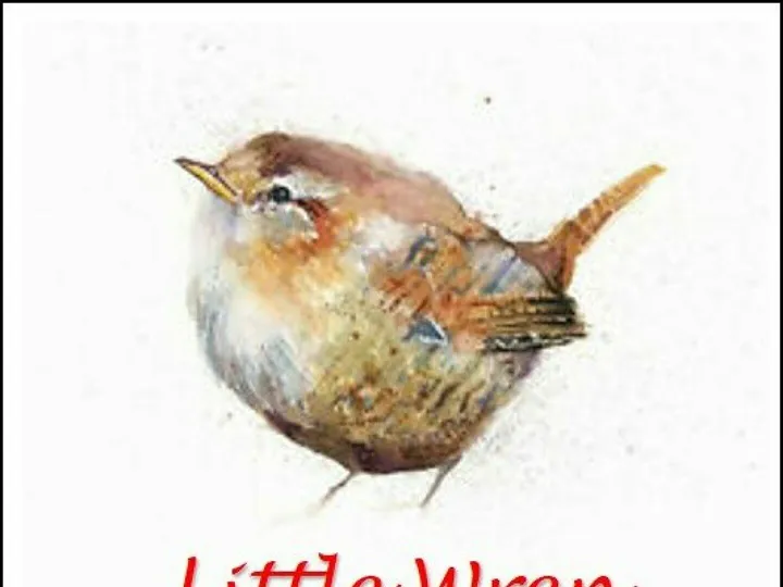 Little Jenny Wren Logo
