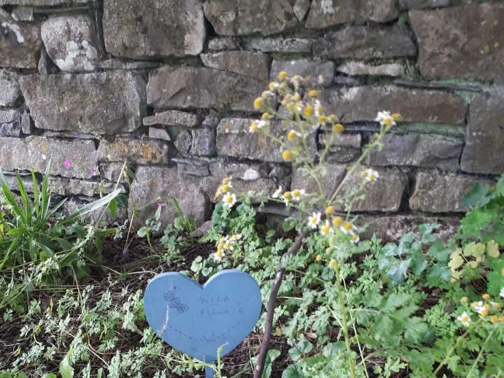 Cockermouth 2