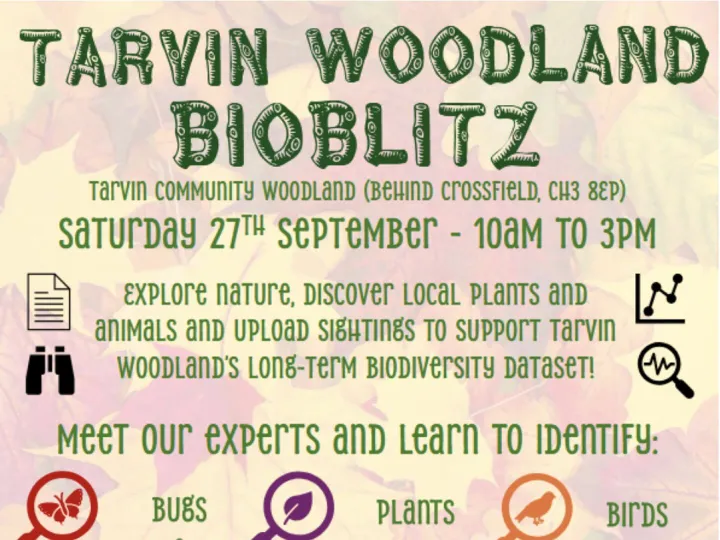 Bioblitz poster