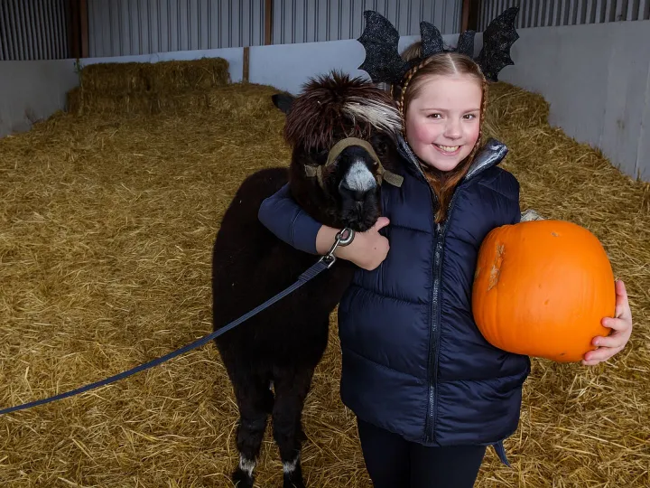 F0f15f49-7722-4e15-Aa3e-A01a82c9d710