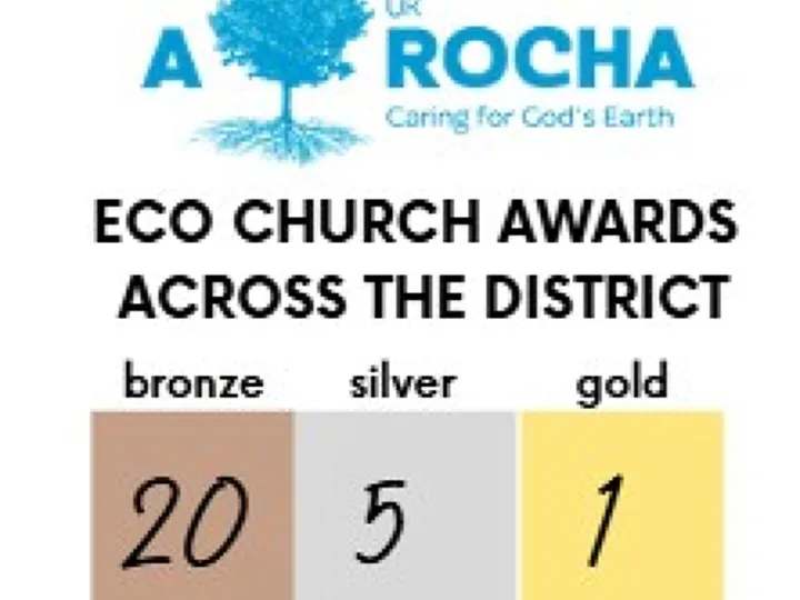 Eco Numbers 25.11.2025