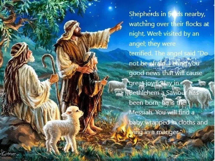 Shepherds Field